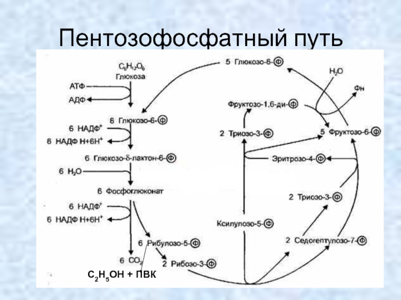 Путь трансформации