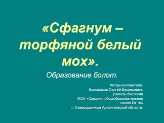 Сфагнум – торфяной белый мох