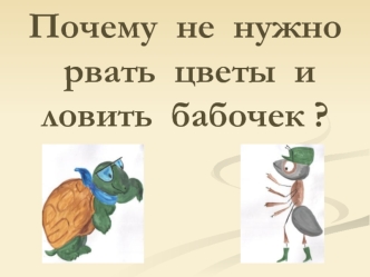 Почему  не  нужно рвать  цветы  и ловить  бабочек ?