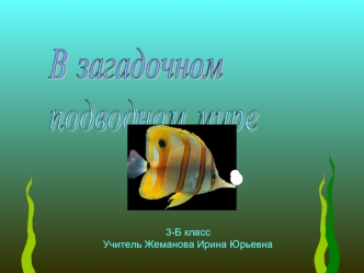 В загадочном подводном мире