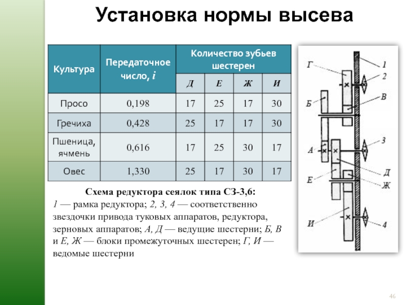 Сеялка овощная норма высева на