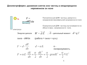 Диэлектрофорез: движение клеток или частиц в неоднородном переменном электрическом поле