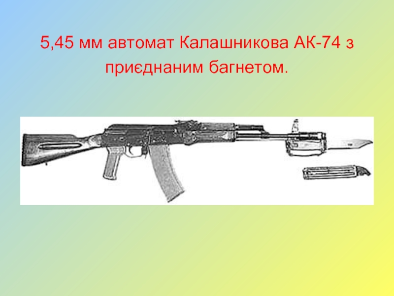 Реферат: Малокаліберна гвинтівка і автомат Калашникова