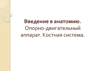 Введение в анатомию. Опорно-двигательный аппарат. Костная система