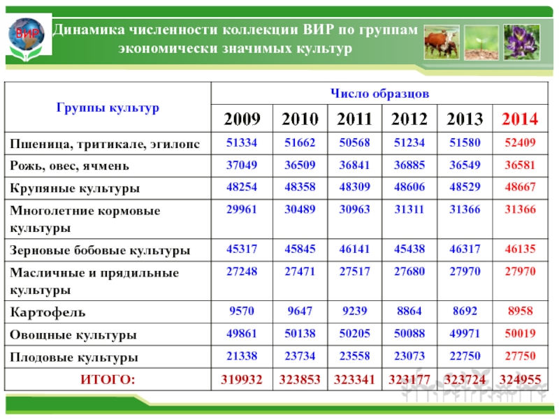 Экономически значимая информация