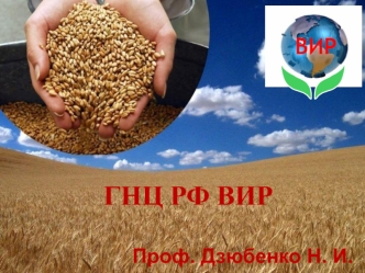 ГНЦ РФ ВИР