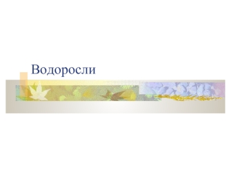 Водоросли