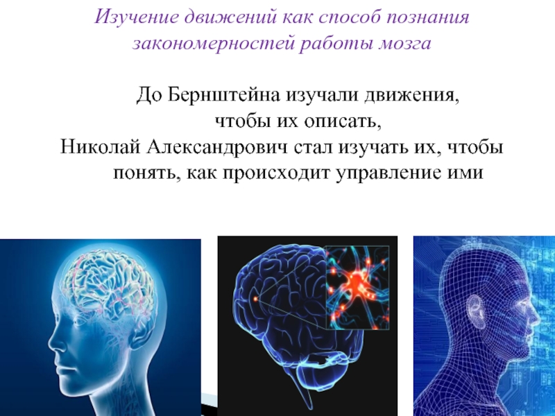 Какие науки изучают работу мозга. Изучение мозга. Изучение мозга наука. Наука изучающая мозг человека.
