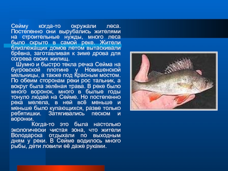 Рыба ребенок характеристика. Сейма река Володарск рыба.