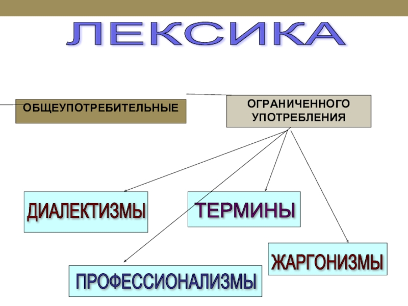 Диалектизмы профессионализмы