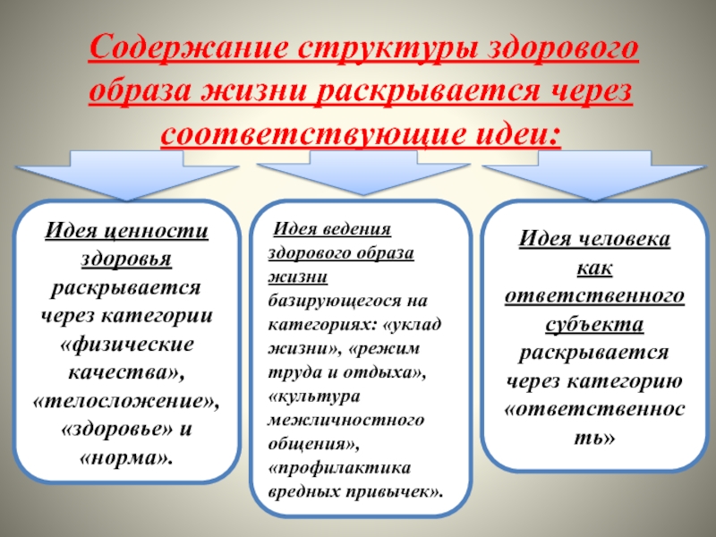 Ценность идеи. Структура ЗОЖ. Идеальная, здоровая структура ценностей. Зависимости от образа условия жизни раскрывается в принципе.