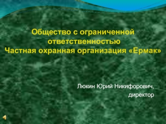 Общество с ограниченной
 ответственностью 
Частная охранная организация Ермак