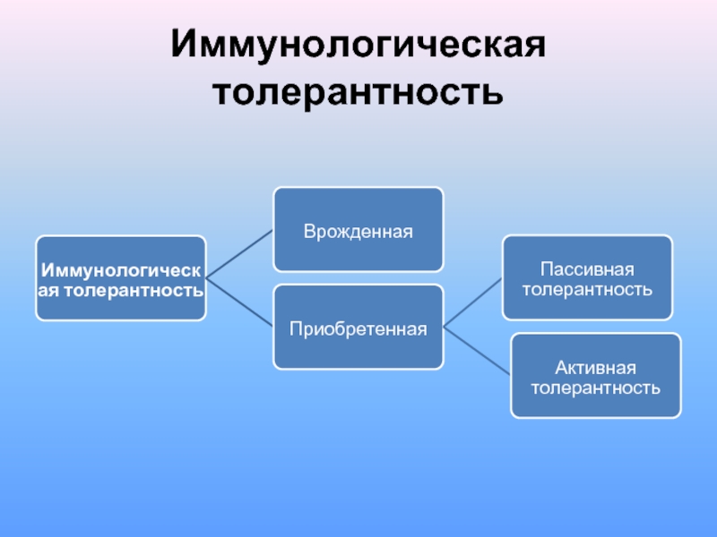 Fispeckt толерантность. Приобретенная иммунологическая толерантность. Иммунологическая толерантность врожденная приобретенная. Высокодозовая иммунологическая толерантность. Оуэн иммунологическая толерантность.