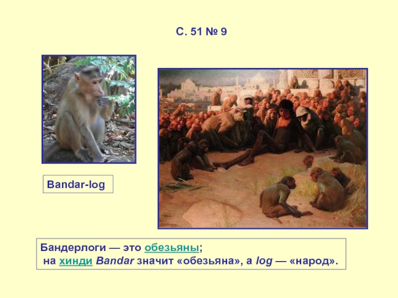 Бандар лог. Бандерлоги обезьяны. Бандерлоги кто это. Кто такие Бандар-логи.