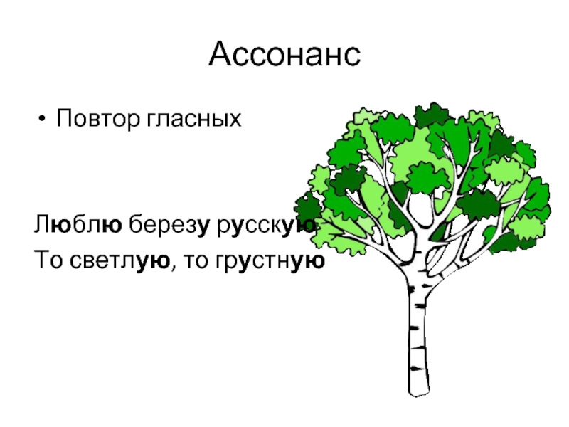 Люблю берёзу русскую. Реши загадку он любит Березки.