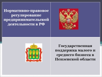 Государственная поддержка малого и среднего бизнеса в Пензенской области РФ