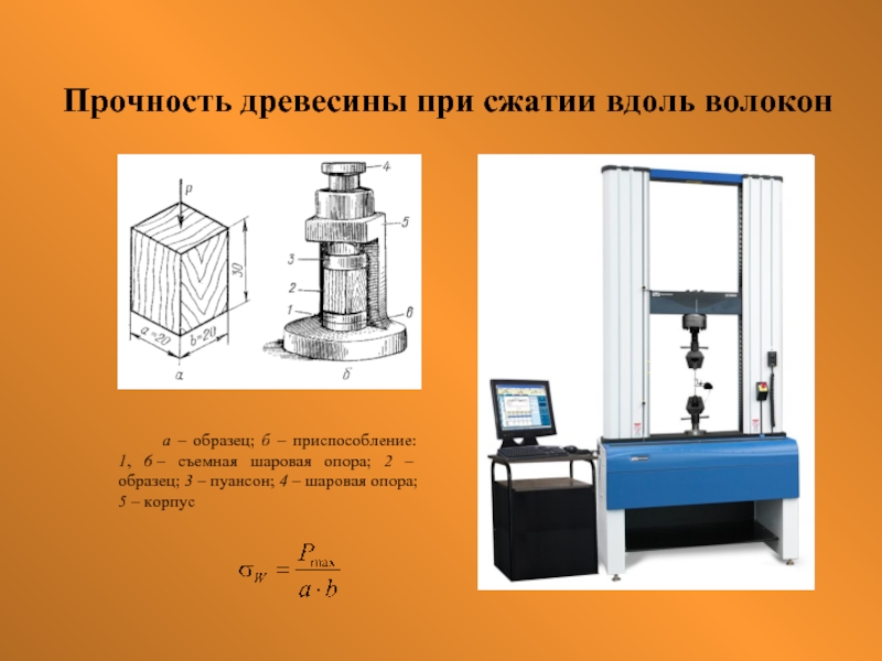 Б образцов