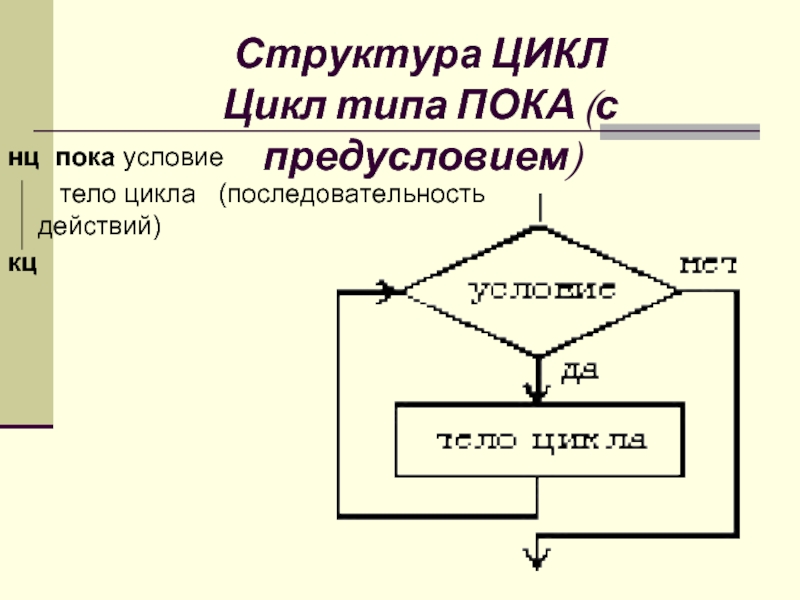 Программа цикла с предусловием