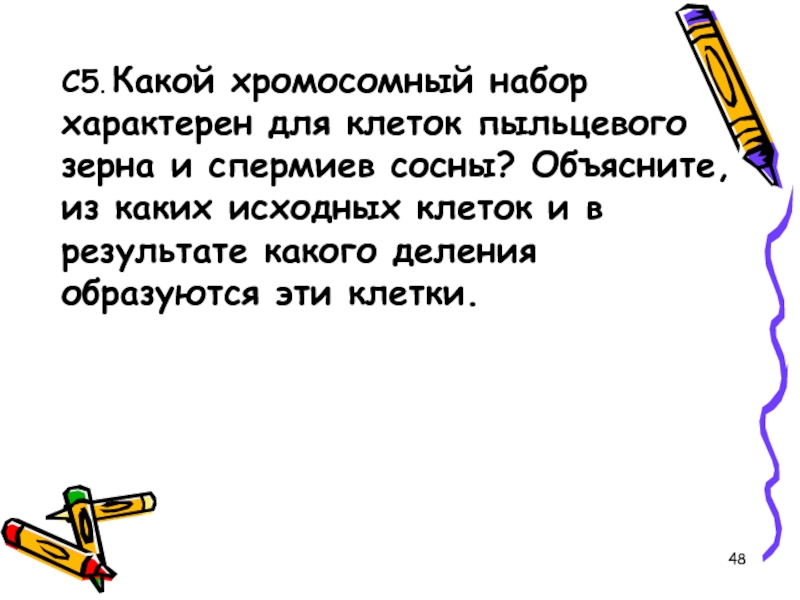 В результате какого деления образуются. Хромосомный набор пыльцевого зерна. Хромосомный набор пыльцевого зерна сосны. Какой хромосомный набор характерен для клеток пыльцевого зерна. Пыльцевое зерно сосны набор хромосом.