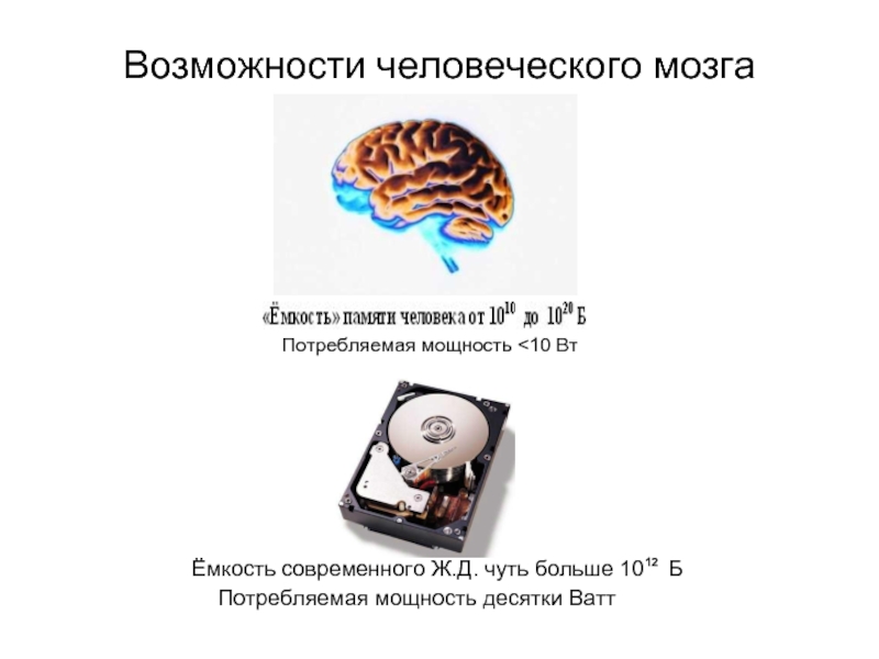 Сколько объем памяти. Емкость человеческой памяти. Объем памяти мозга. Емкость памяти человеческого мозга. Объем мозга в гигабайтах.