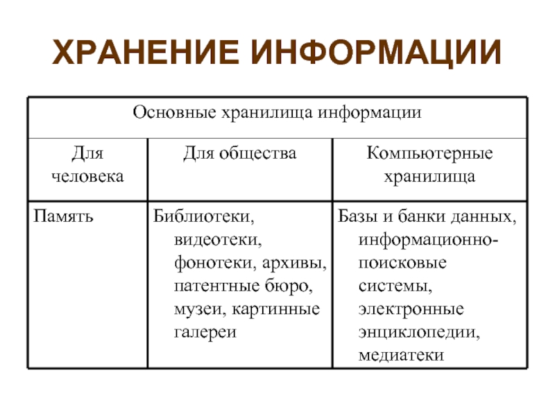 Презентация по теме хранение информации