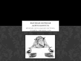 Высшая нервная деятельность. Вторая сигнальная система, память, эмоции, сон