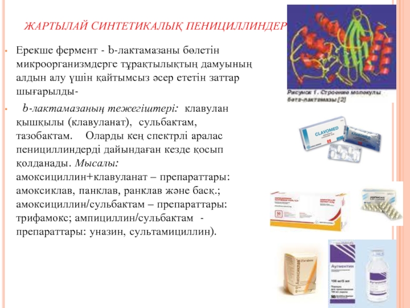 Казакша №12. Антибиотиктер презентация, доклад