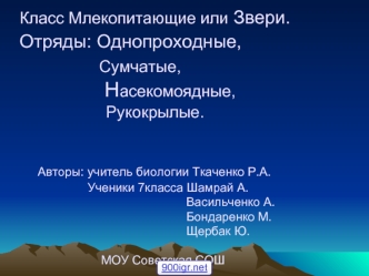 Класс Млекопитающие или Звери.              Отряды: Однопроходные,               Сумчатые,                                                           Насекомоядные,                    Рукокрылые.      Авторы: учитель биологии Ткаченко Р.А.                 