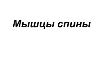 Мышцы спины. Поверхностные мышцы спины. Глубокие мышцы спины