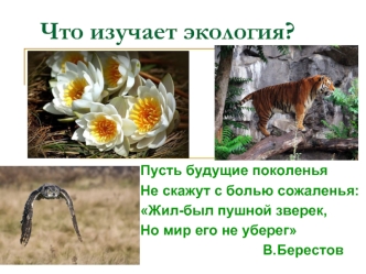 Что изучает экология?