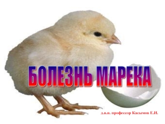 Болезнь Марека