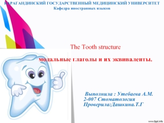 The Tooth structure