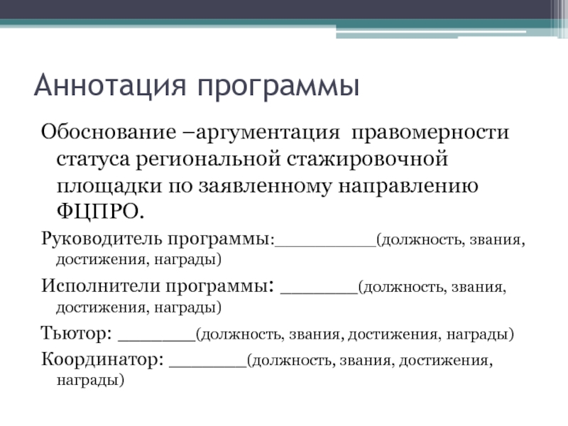 Руководитель программы проектов