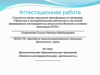 Аттестационная работа. Дополнительная образовательная программа Проектно-исследовательская деятельность