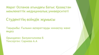 Типы информации. Основные информационные процессы. Поиск и обработка информации