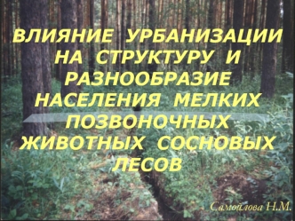 ВЛИЯНИЕ  УРБАНИЗАЦИИ  НА  СТРУКТУРУ  И  РАЗНООБРАЗИЕ  НАСЕЛЕНИЯ  МЕЛКИХ  ПОЗВОНОЧНЫХ  ЖИВОТНЫХ  СОСНОВЫХ  ЛЕСОВ