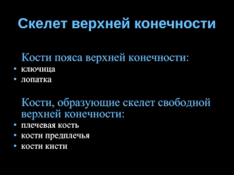 Скелет верхней конечности