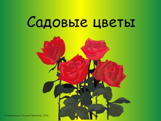 Садовые цветы