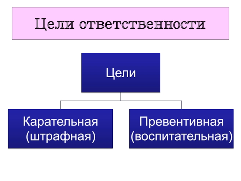 Цели ответственности