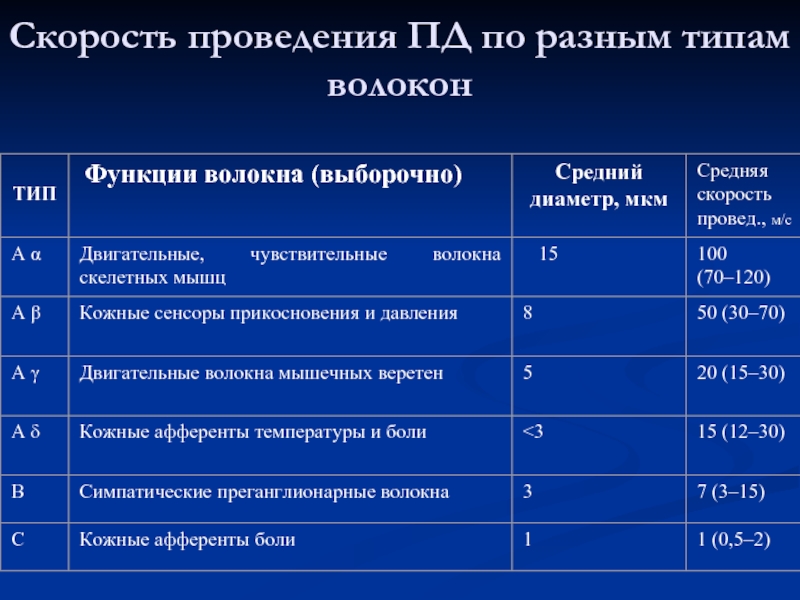 Скорость проведения. Классификация волокон по скорости проведения.. САУ скорость проведения. Скорость проведения волокнами а Дельта. Скорость выполнения.