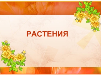 Растения. Цветок