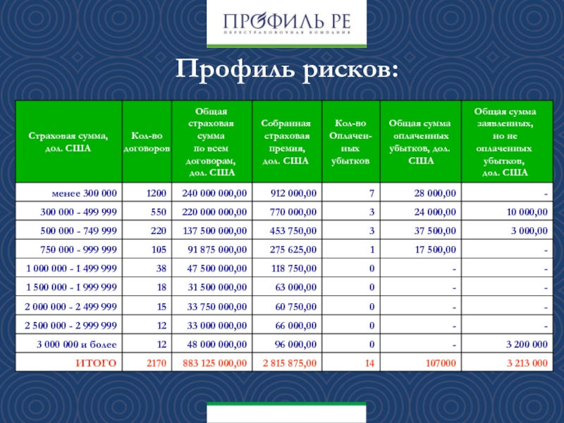 Профиль риска. Совокупный профиль риска это. Профиль риска 37409. Профиль риска с кодом 0102.