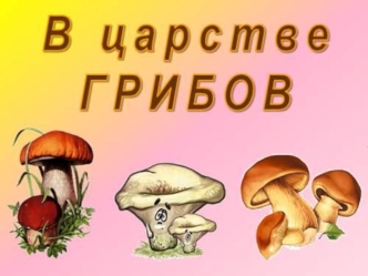 Съедобные и ядовитые грибы