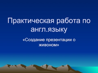 Практическая работа по англ.языку