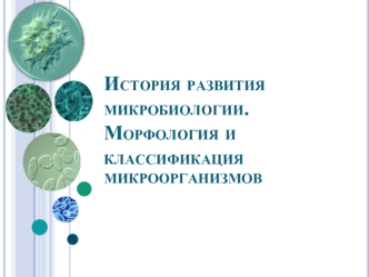 Развитие микробиологии. Морфология и классификация микроорганизмов