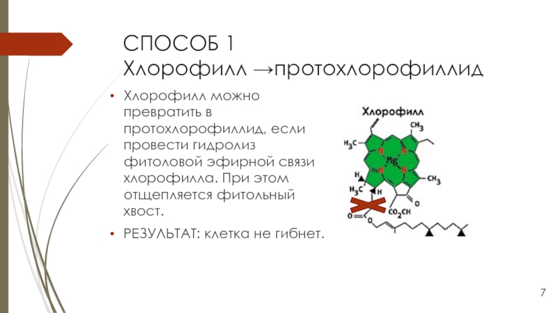 Окисление хлорофилла. Структура хлорофилла. Структура хлорофилла фитольный хвост. Структура молекулы хролофила. Строение молекулы хлорофилла.