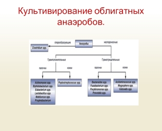 Культивирование облигатных анаэробов