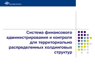 Система финансового администрирования и контроля для территориально распределенных холдинговых структур