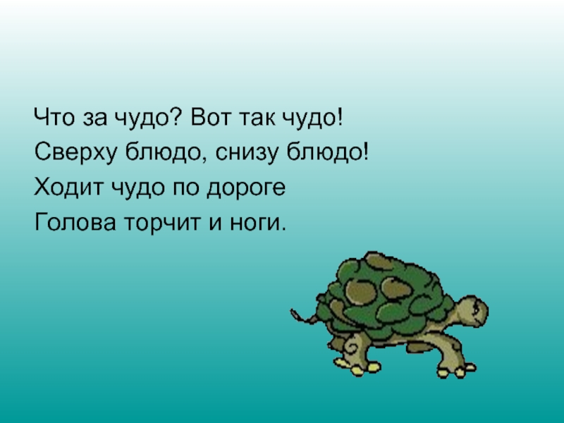 Ходите чудес. Что за чудо вот так чудо сверху блюдо снизу блюдо ходит чудо по дороге. Что за чудо вот так чудо. Еле тащится улитка а зайчишка мчится прытко песня. Вот так чудо чудеса.