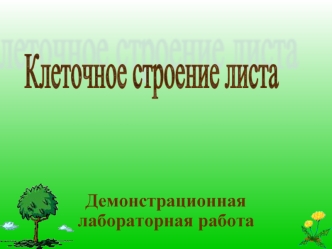 Демонстрационная лабораторная работа